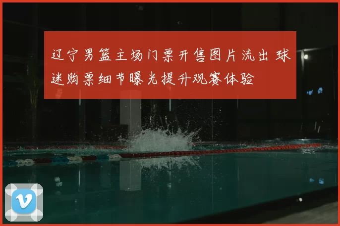 辽宁男篮主场门票开售图片流出 球迷购票细节曝光提升观赛体验