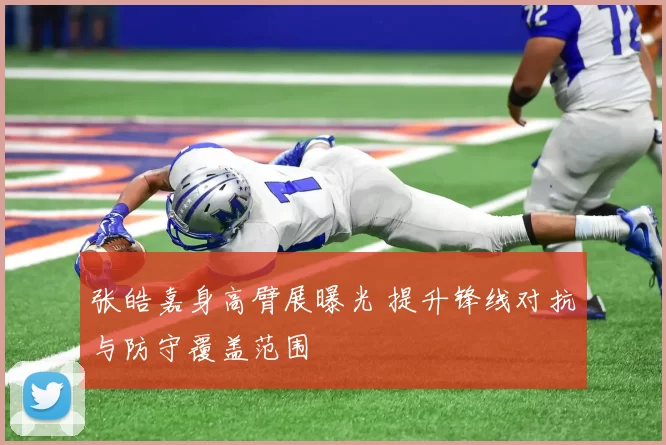 张皓嘉身高臂展曝光 提升锋线对抗与防守覆盖范围