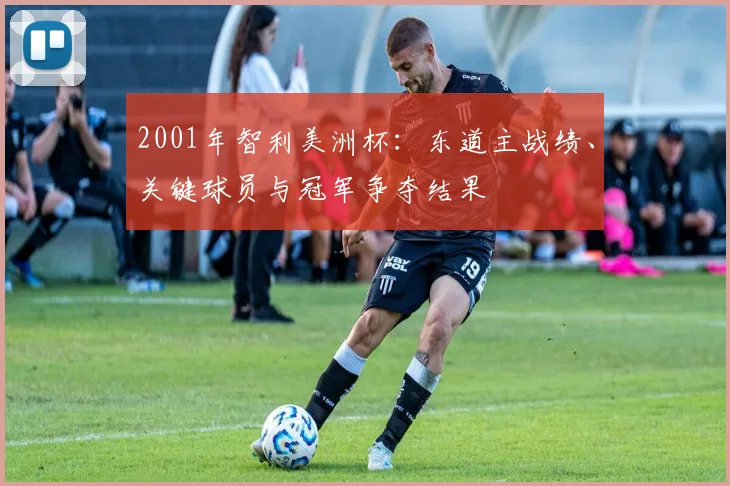 2001年智利美洲杯：东道主战绩、关键球员与冠军争夺结果